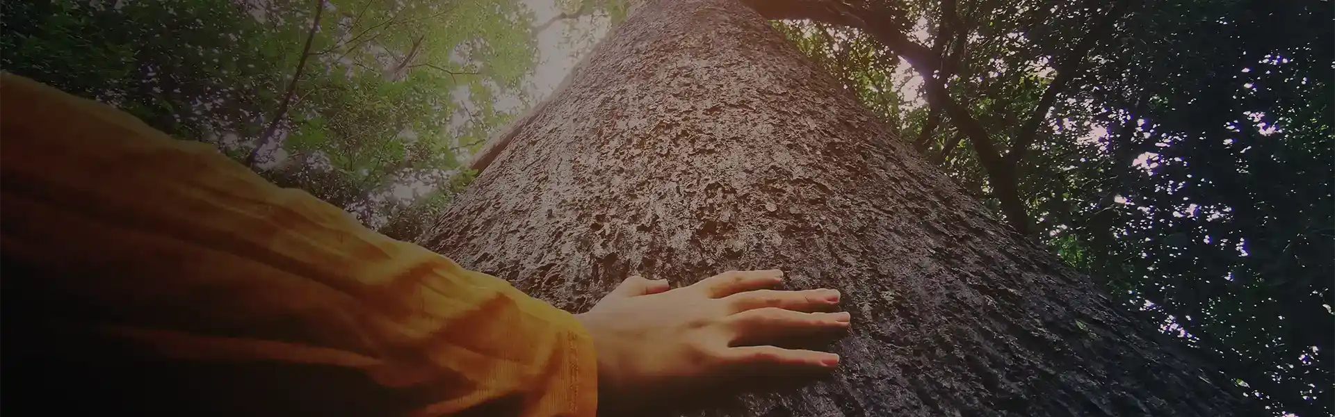 Green website BG